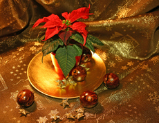 5-Weihnachtsmotive 081.jpg